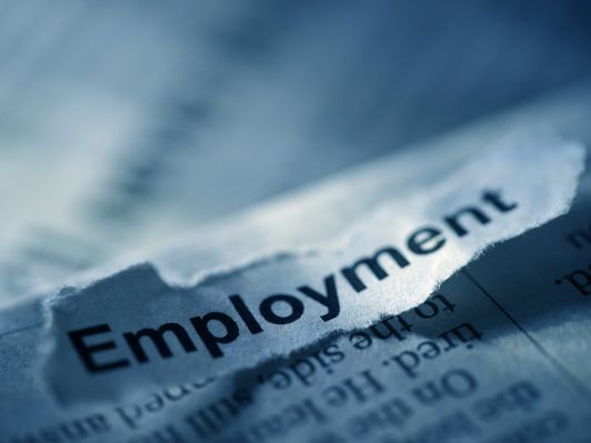 Employment status to get a loan